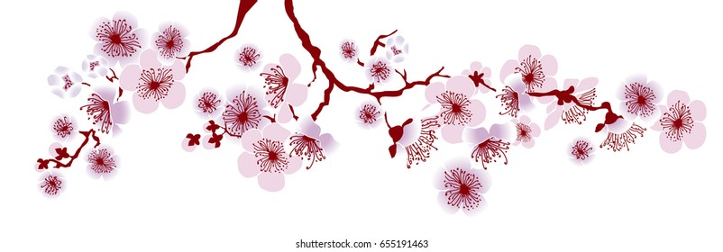 vector illustration of decorative sakura branch. floral pattern for header, surfers design, decor, cards.