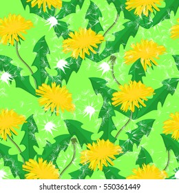 Vector illustration decorative seamless pattern with dandelions. Nature floral background.