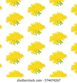 Vector illustration decorative seamless pattern with dandelions. Nature floral background.