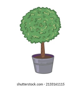 vector illustration decorative tree in a bucket 