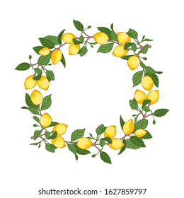 vector illustration decorative wreath of lemons,place for your lettering, cartoon design
