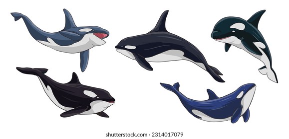 vector illustration of a deep sea predatory orca in various poses