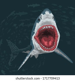 Vector illustration, deep sea shark