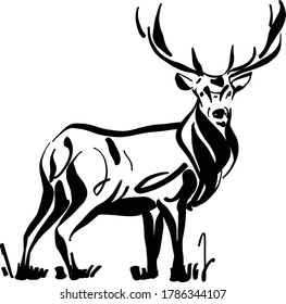 the vector illustration of the deer