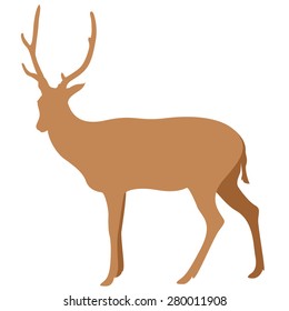 vector illustration of deer