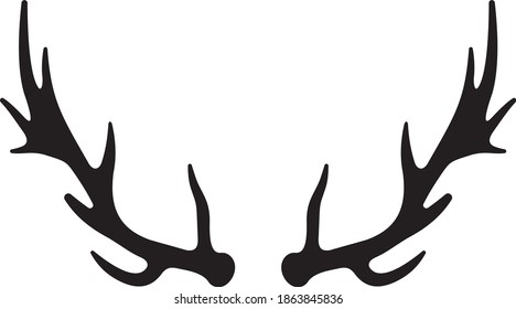Vector illustration of the deer antlers