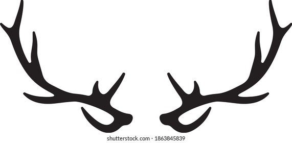 Vector illustration of the deer antlers