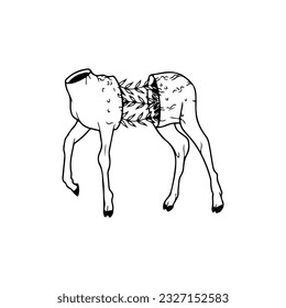 vector illustration of deer body with flowers