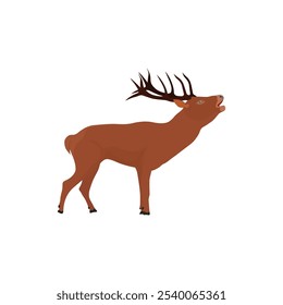 Vector illustration of deer in cartoon flat style. Male or female deer wild life animal isolated in white background. Cute different poses deer with long horns for logo, icon, infographic, symbol