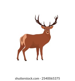 Vector illustration of deer in cartoon flat style. Male or female deer wild life animal isolated in white background. Cute different poses deer with long horns for logo, icon, infographic, symbol