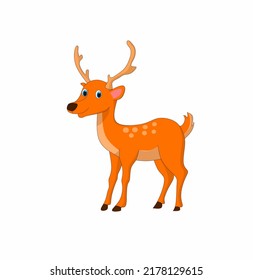 Vector illustration of a deer cartoon isolated on white background 