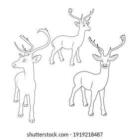 Vector illustration of deer cartoon on white background