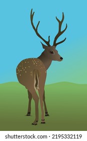 

A vector illustration of a deer in the field. You see the animal from its behind and it looks backwards at you. It's a male deer with antlers. He stands before small hills.