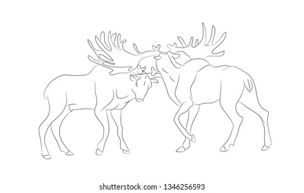 vector illustration of a deer fighting, drawing by lines, vector, white background
