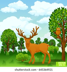 Vector illustration. A deer in a forest glade. Reserve for wild animals.