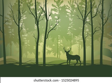 Vector illustration of a deer in the forest walking alone in the morning in green among the trees silhouettes