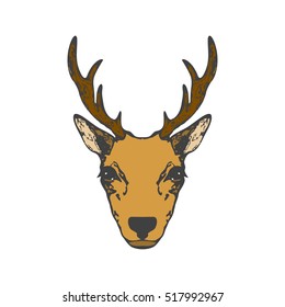 Vector illustration of a Deer head. Isolated on a white background.