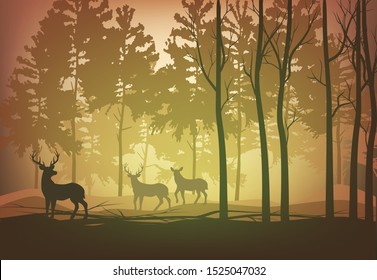 Vector illustration deer herd in the forest walking in the evening in the sunset sunlight among the trees silhouettes autumn