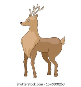 Vector illustration of deer isolated on white background