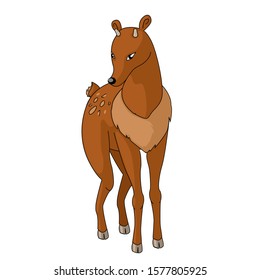 Vector illustration of deer isolated on white background