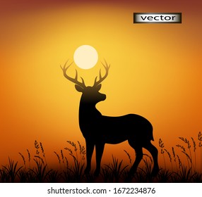 Vector illustration of a deer on the background of the sun located in the animal 's horns