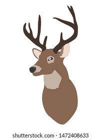 vector illustration deer portrait,color drawing, vector, white background