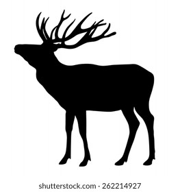 Vector illustration of deer silhouette