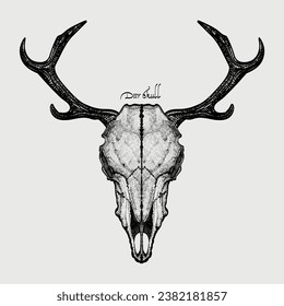 Vector illustration of a deer skull in EPS10 version format