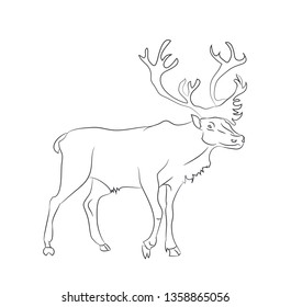 vector illustration deer stands drawing lines, vector, white background