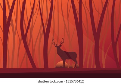 vector illustration of deer in the sunset forest