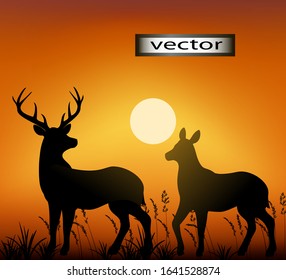 Vector illustration of deer at sunset walking on a field