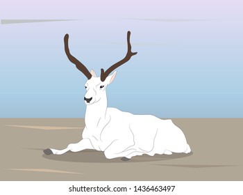 vector illustration of a deer that lies on nature, vector