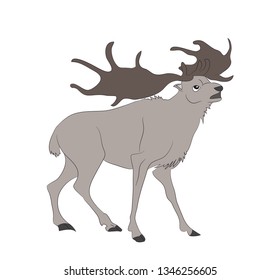 
vector illustration of a deer that stands, drawing color, vector, white background