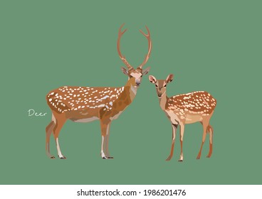 Vector Illustration of Deer, True Deer, Red Deer, Fallow Deer