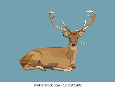 Vector Illustration of Deer, True Deer, Red Deer, Fallow Deer