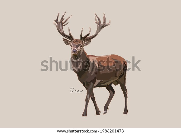 Vector Illustration of Deer, True Deer, Red Deer,\
Fallow Deer