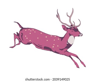 Vector illustration of deer in vintage style isolated on white background