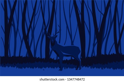 vector illustration of deer in the woods, dark forest night time