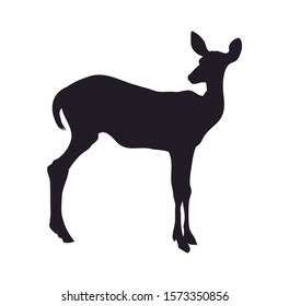 vector illustration, deer is worth silhouette, vector, white background