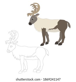 Vector illustration of deer.Colorful and outline.Isolated elements on whote background.Flat,cartoon