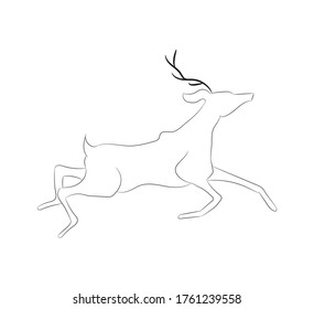 vector illustration deer,drawing lines, vector, white background