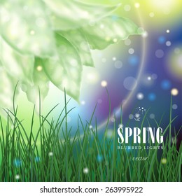 Vector illustration. Delicate leaves and grass on a background of dark sky. Spring collection.