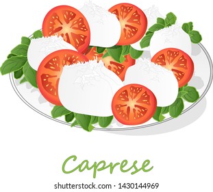 Vector illustration of delicious caprese salad with ripe tomatoes and mozzarella cheese with fresh basil leaves. Italian food isolated on white background.