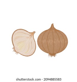 vector illustration delicious juicy vegetables food for health
onion 
