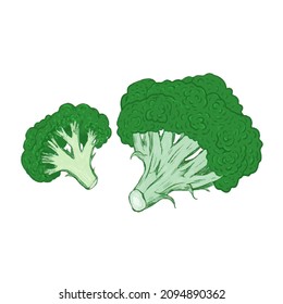 vector illustration delicious juicy vegetables food for health
broccoli