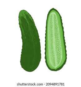 vector illustration delicious juicy vegetables food for health
cucumbers 