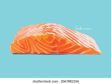 Vector Illustration of Delicious Salmon, Raw Salmon, Salmon Fish