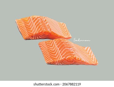 Ilustración vectorial del Salmón Delicioso, Salmón crudo, Pescado Salmón