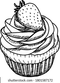 vector  illustration. delicious strawberry cake. muffin with vanilla cream. cookies and chocolate. Graphic sketch . Sweet fruit, berry 
