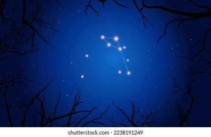 Vector illustration Delphinus constellation. Bright constellation in open space. Starry sky behind tree silhouette